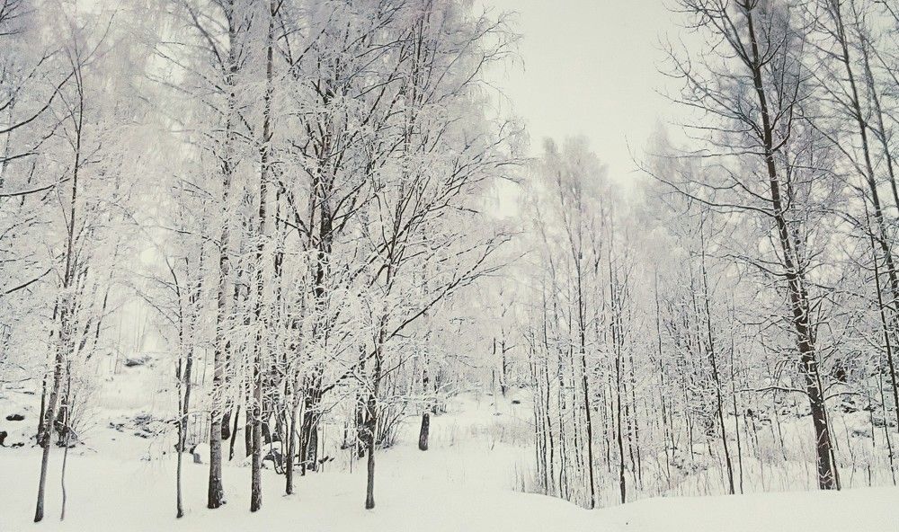 Фотография автора Irina Mihailovskaya