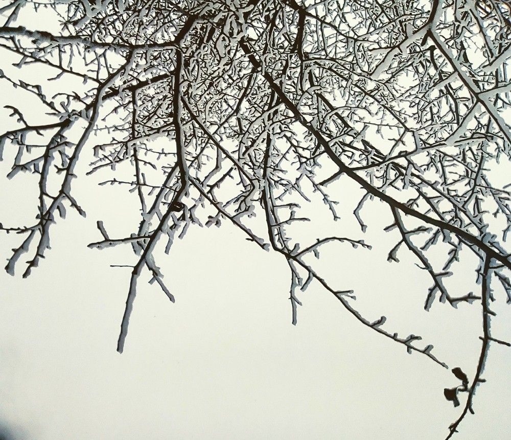 Фотография автора Irina Mihailovskaya