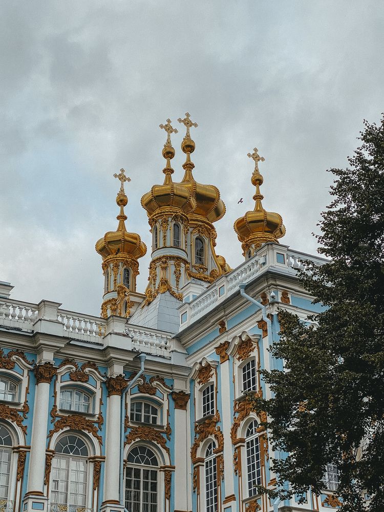 Фотография автора Юлия Полищук