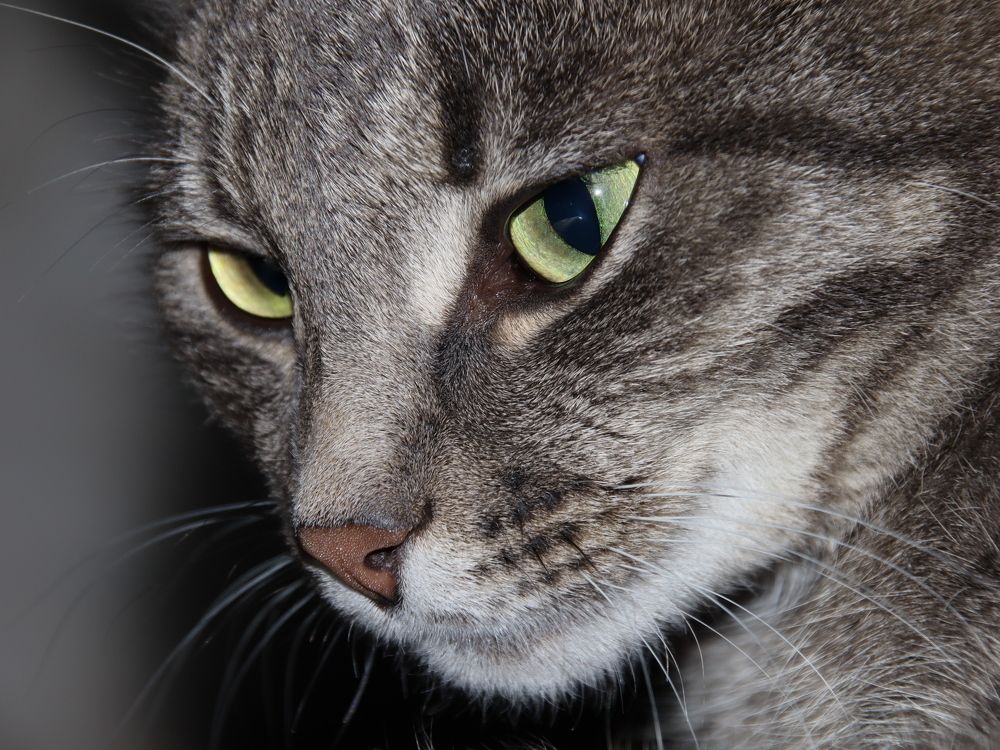 Photograph by Дмитрий Федотов