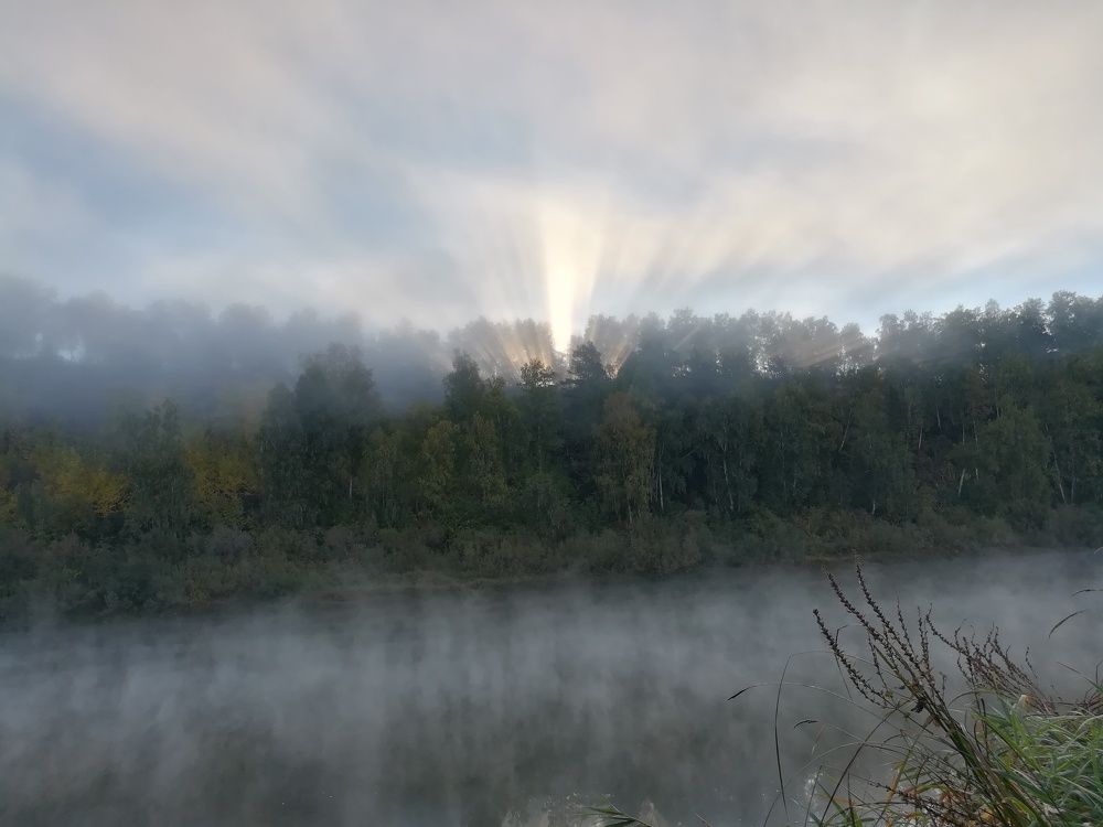 Photograph by Николай Никифоров