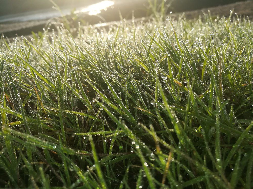 Photograph by Николай Никифоров