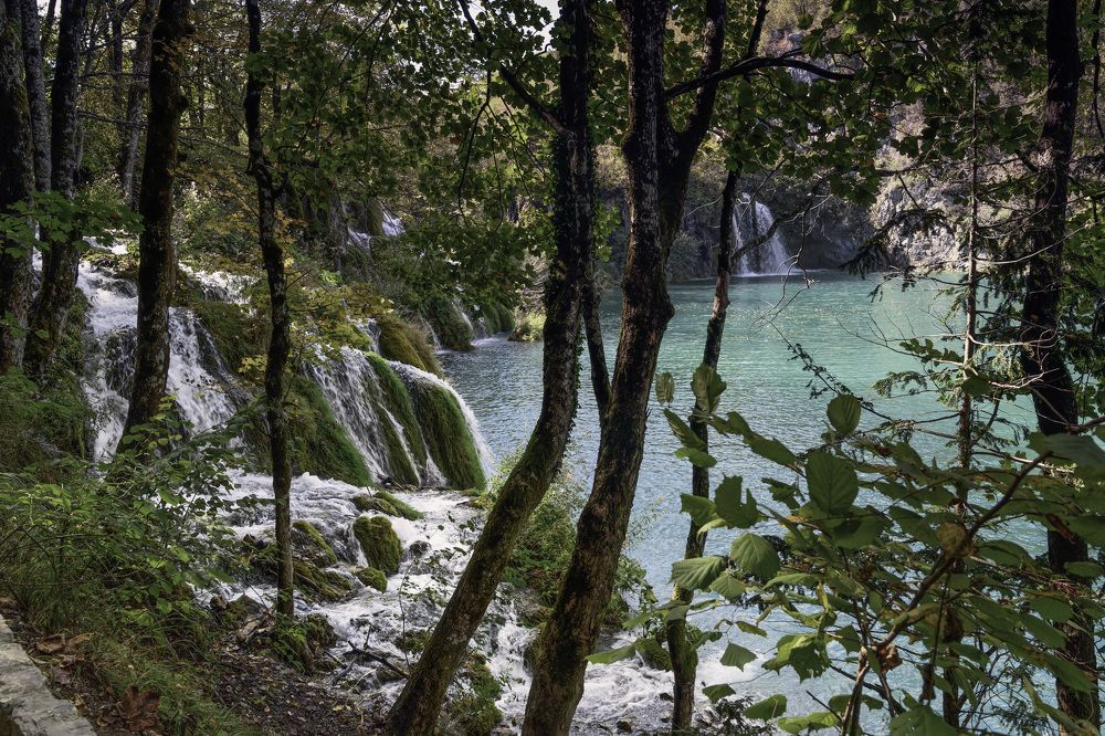 Photograph by YURI GARNAGA