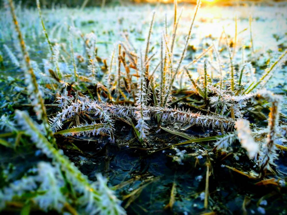 Photograph by Николай Никифоров