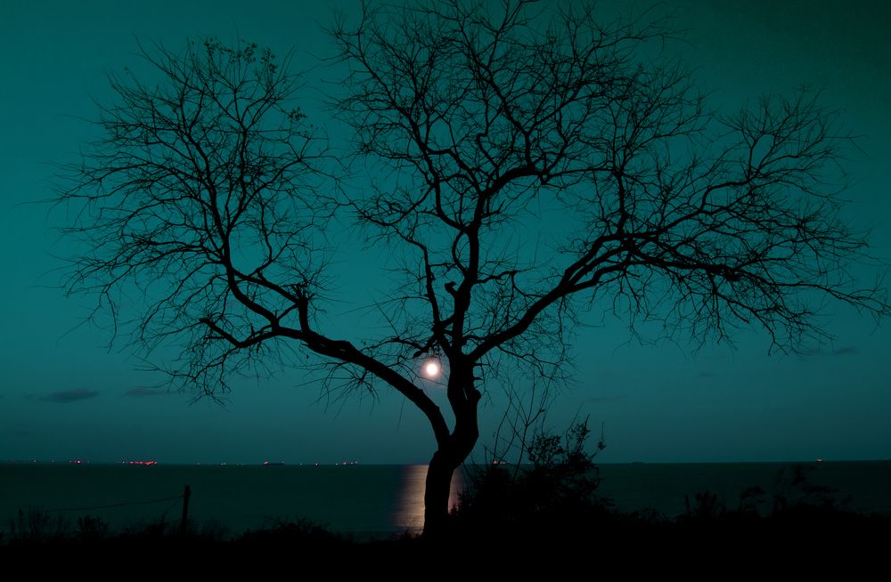 Photograph by Андрей Иванов