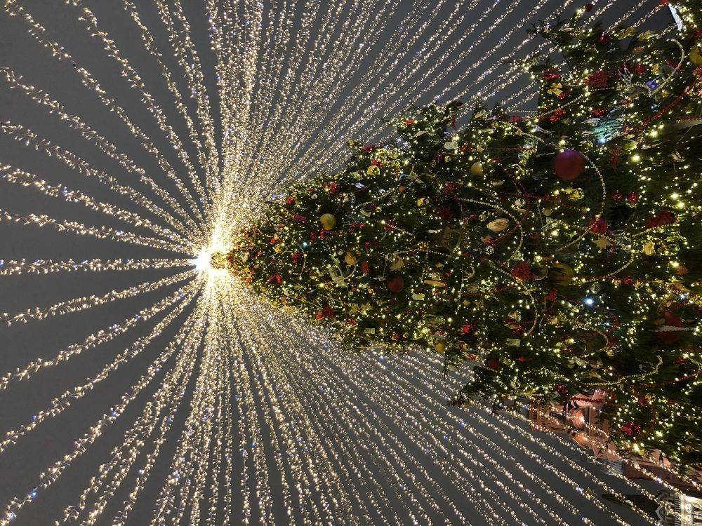 Photograph by Дарья Ярцева