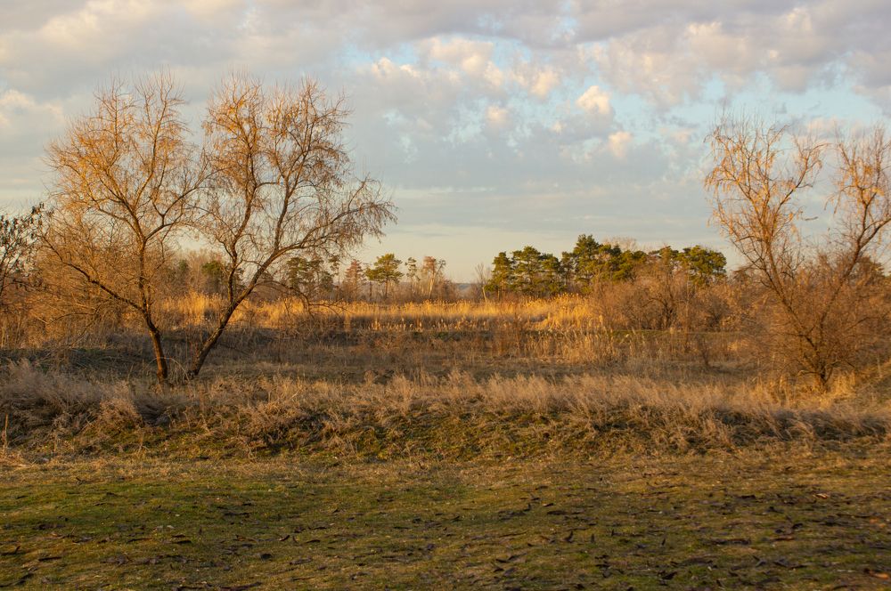 Photograph by Наталья Подмогильная