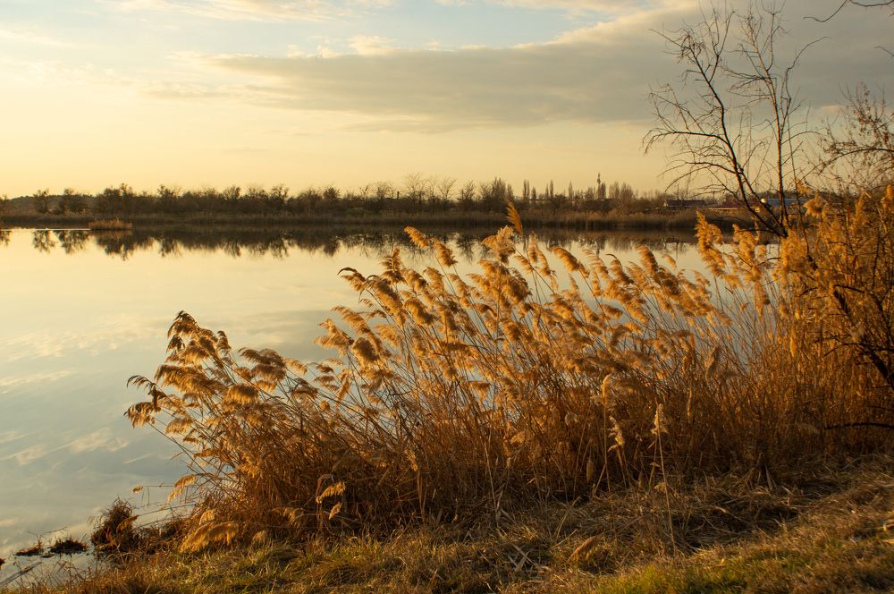 Photograph by Наталья Подмогильная