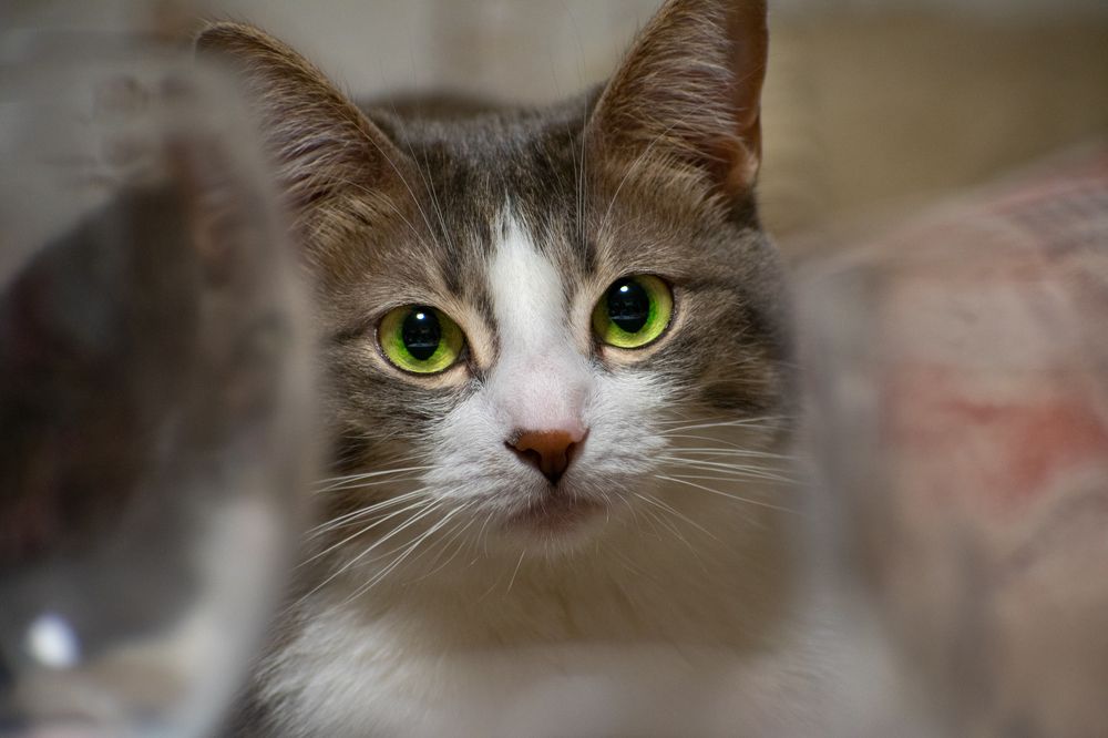 Photograph by Алексей Безгодько