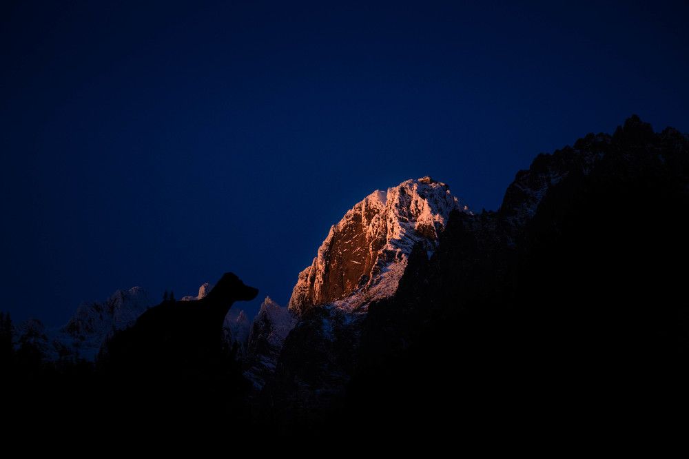 Photograph by Dorota Horváthová