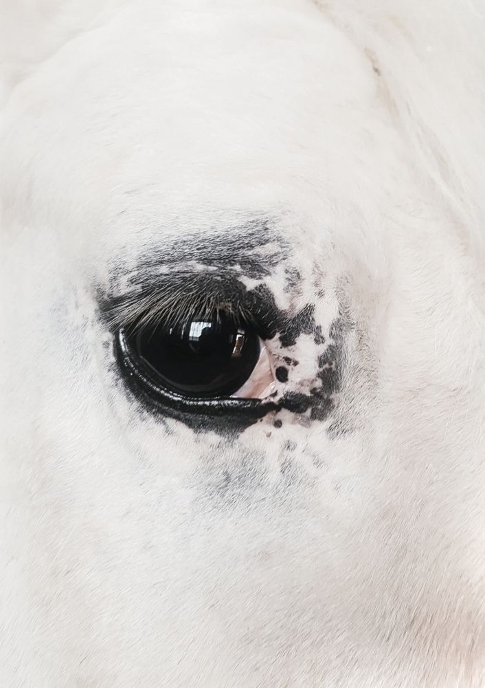 Photograph by Dorota Horváthová