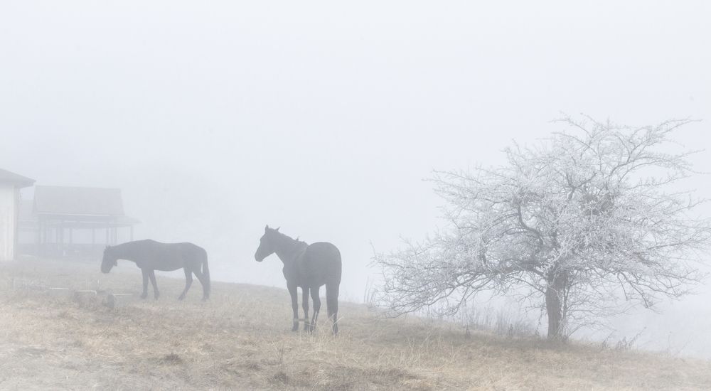 Photograph by Александр Воронов