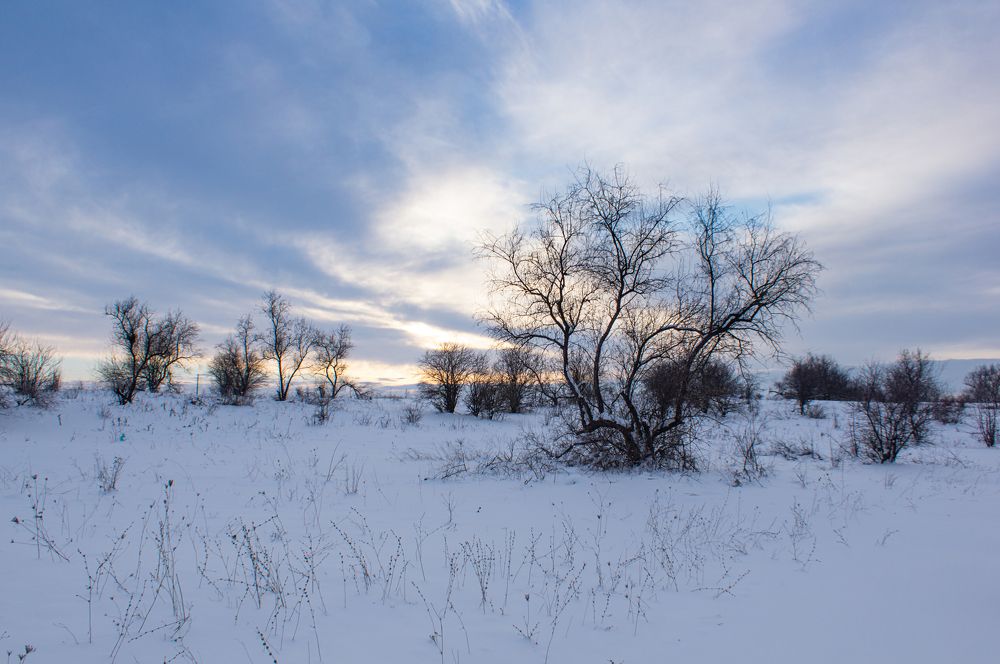 Photograph by Наталья Подмогильная