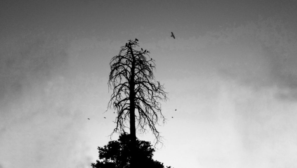 Photograph by reyhaneh zeidabadi