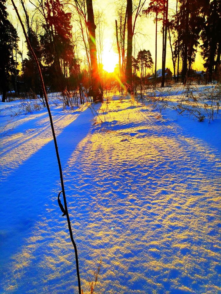 Photograph by Сергей Соломин