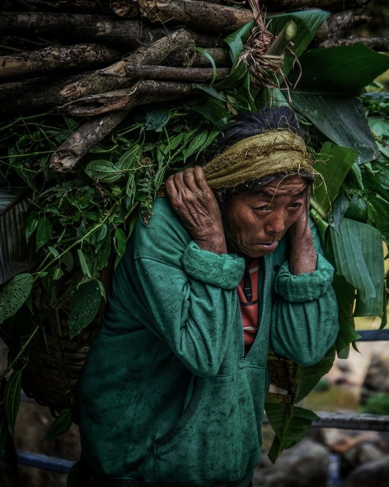 Фотография автора Arkoprobho Pal