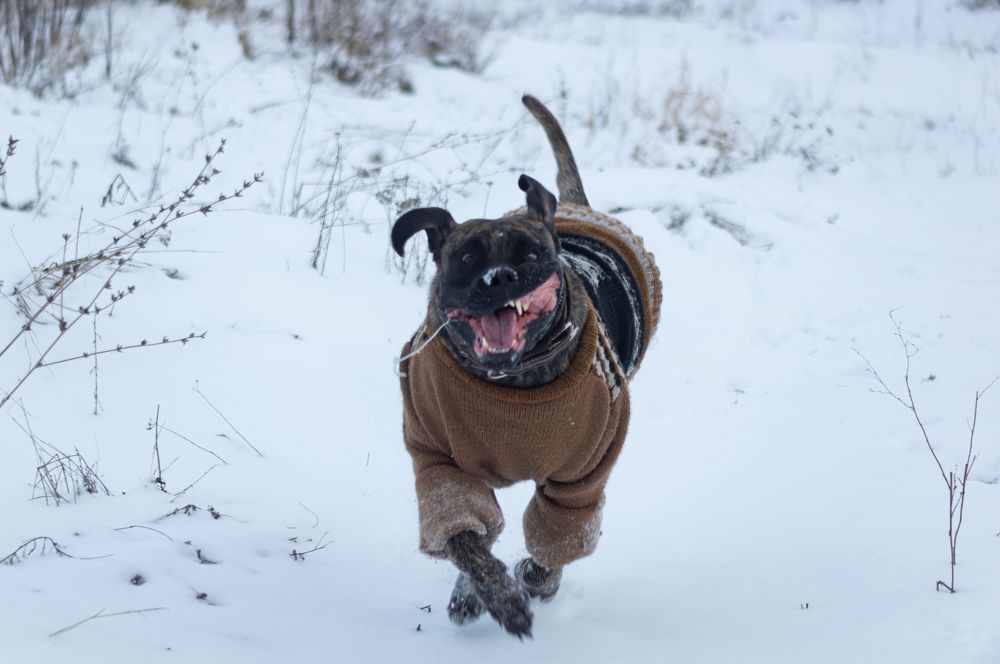 Photograph by Наталья Подмогильная