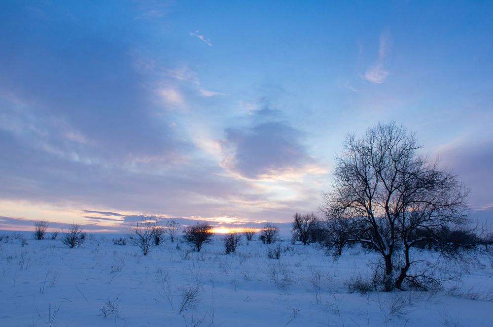 Photograph by Наталья Подмогильная