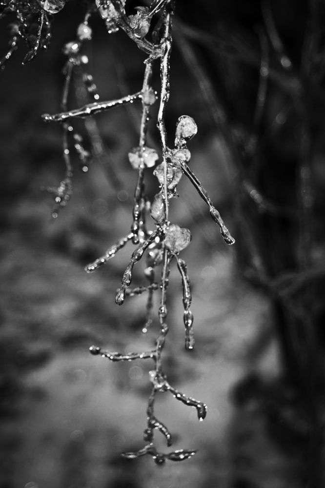 Photograph by Мария Вишневская