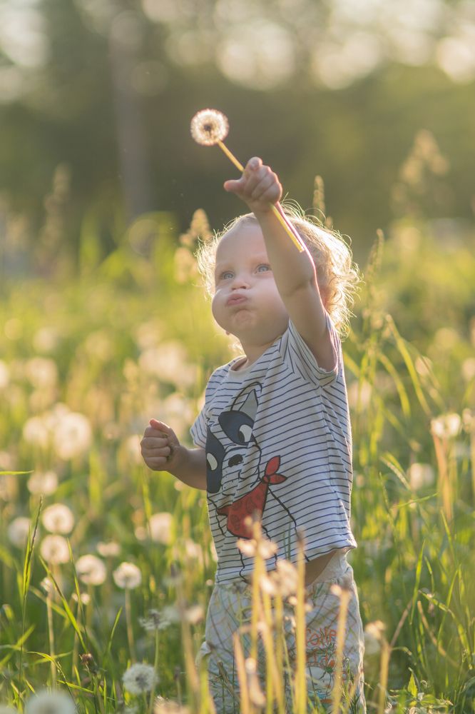 Фотография автора Людмила Коробова