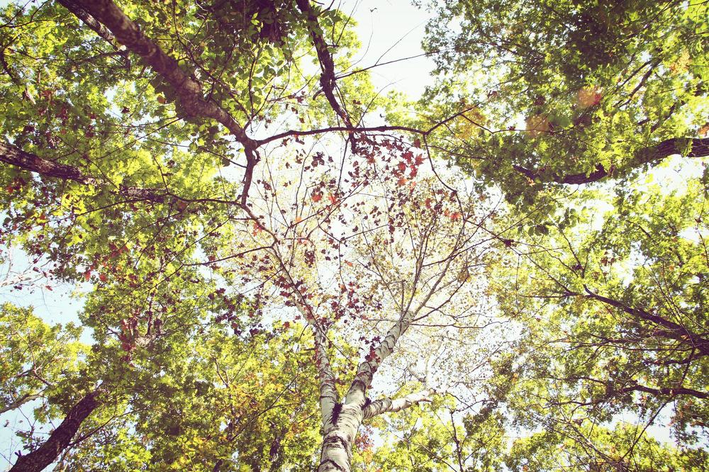 Photograph by Мария Вишневская