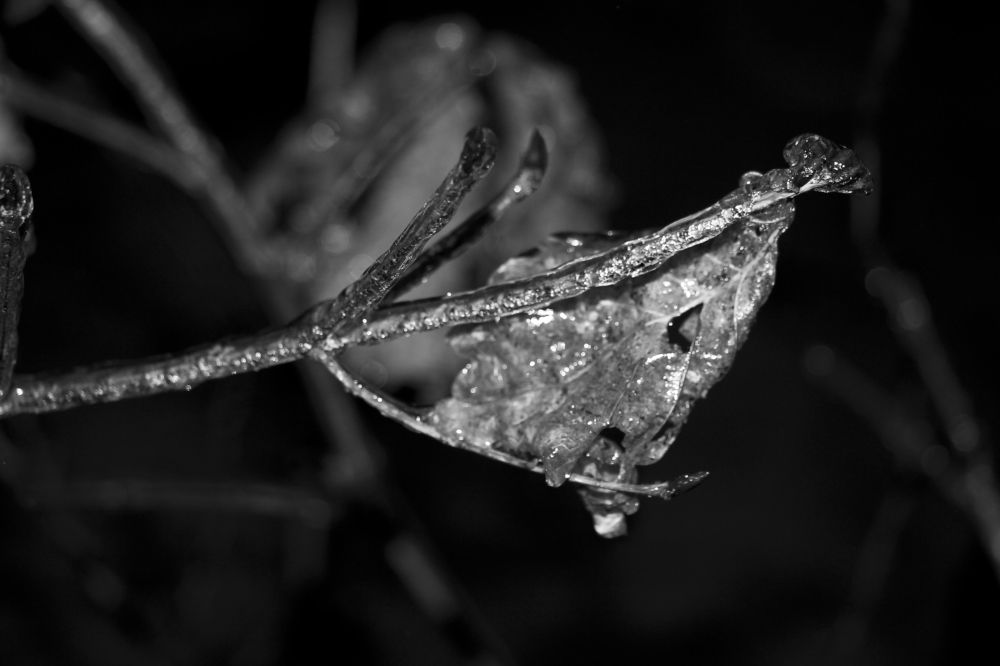 Photograph by Мария Вишневская