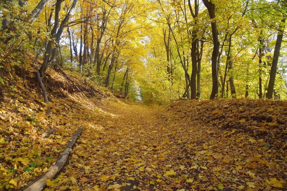 Photograph by Василий Быстрицкий