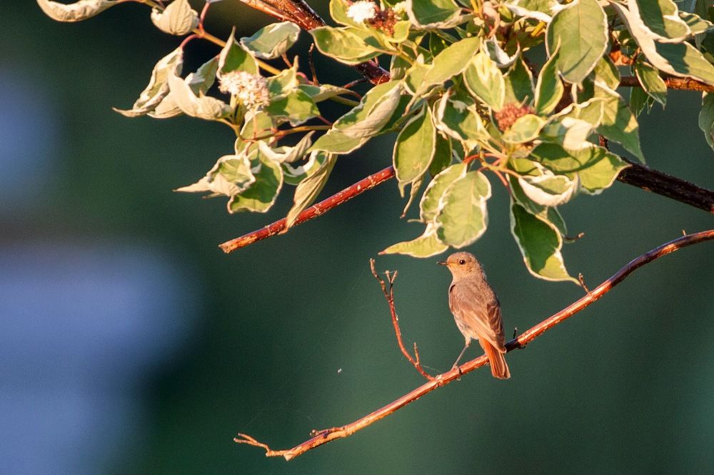 Photograph by Donatas