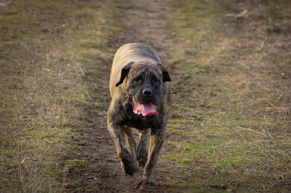 Photograph by Наталья Подмогильная