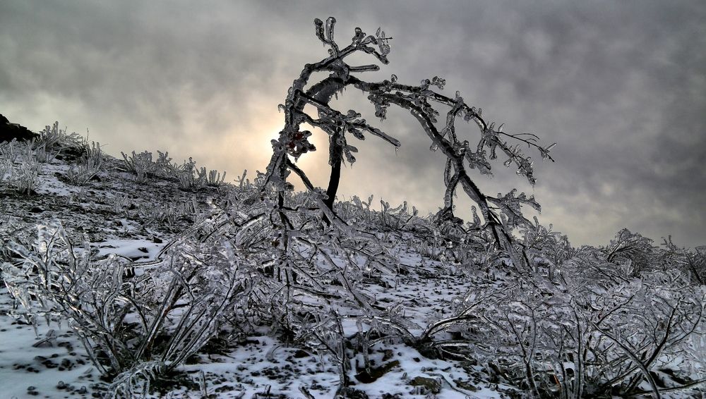 Фотография автора Валерий