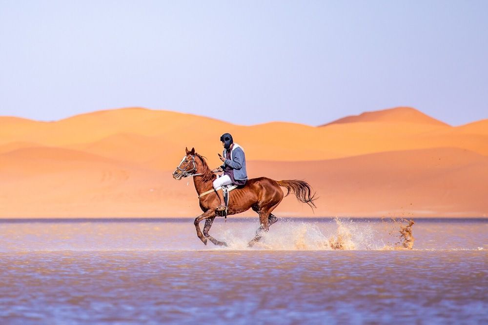 Photograph by Muthurajan Paramasivam