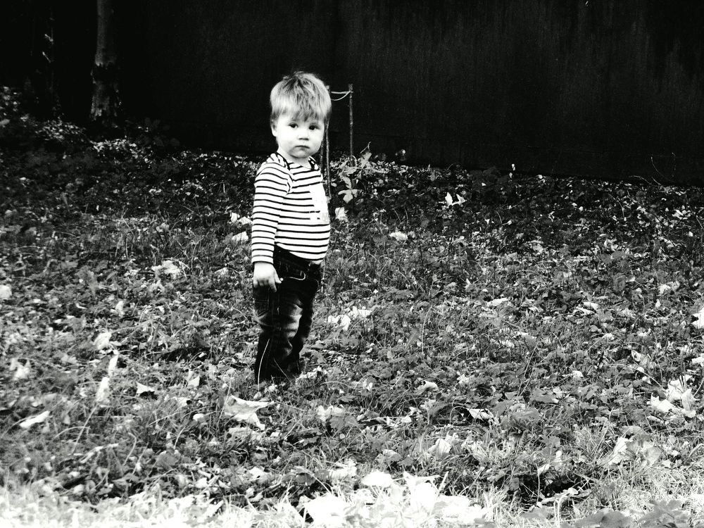 Фотография автора Сергей Рапопорт