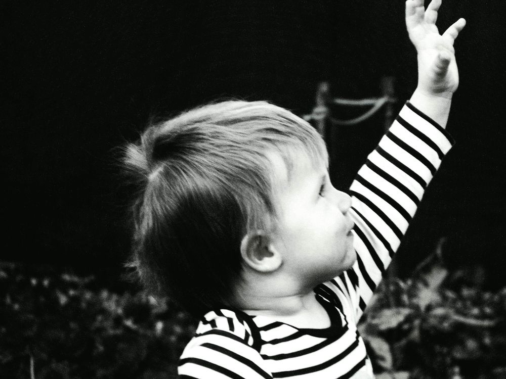 Фотография автора Сергей Рапопорт