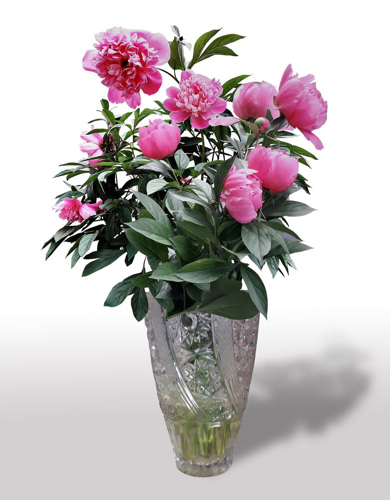 Photograph by Сергей Шаповалов