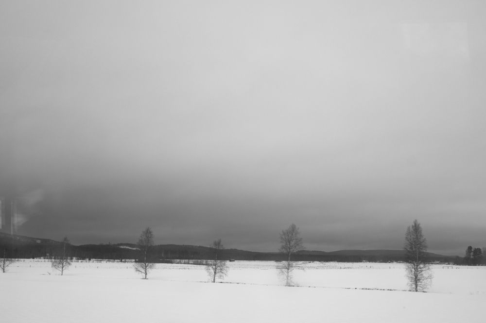 Photograph by Giovanni Nicolosi