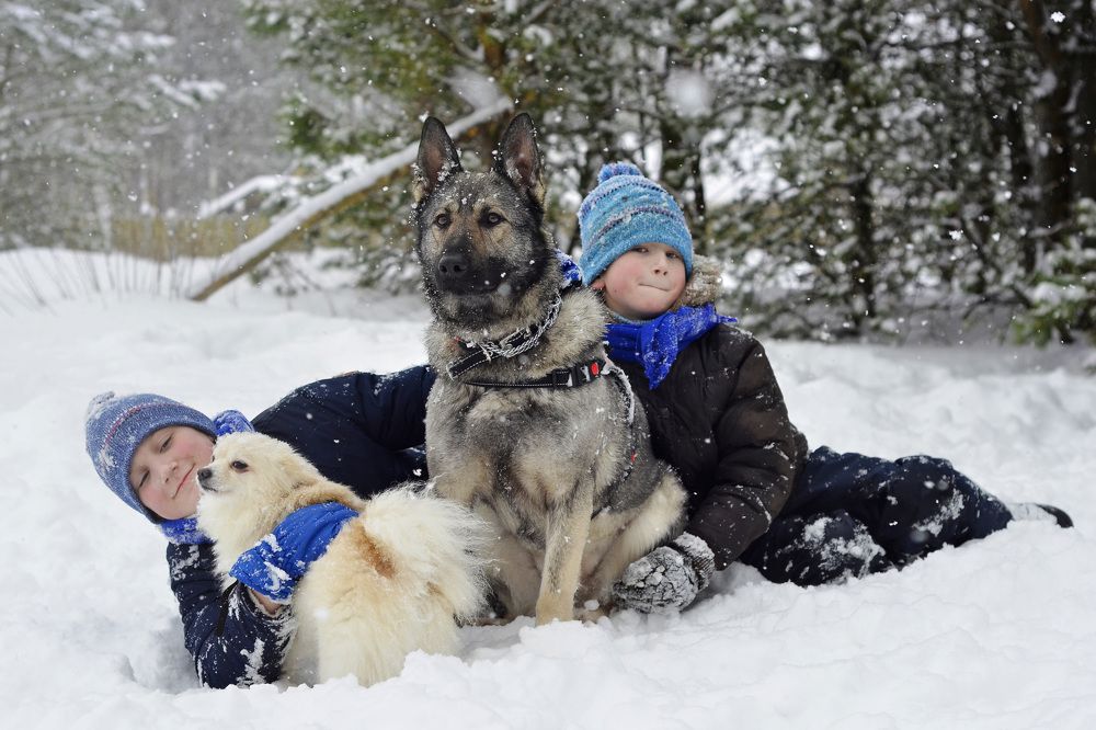 Зимний день