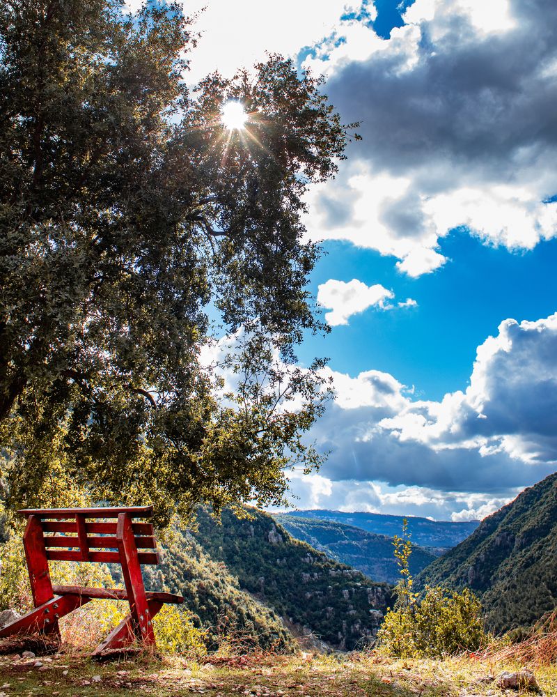 Photograph by Kamil Salameh