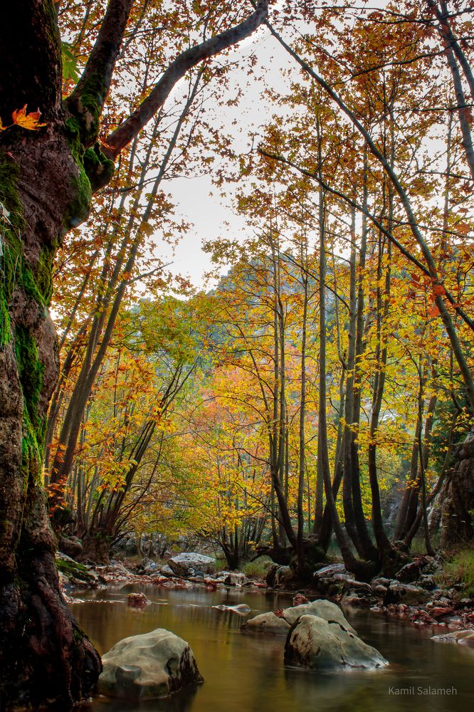 Photograph by Kamil Salameh