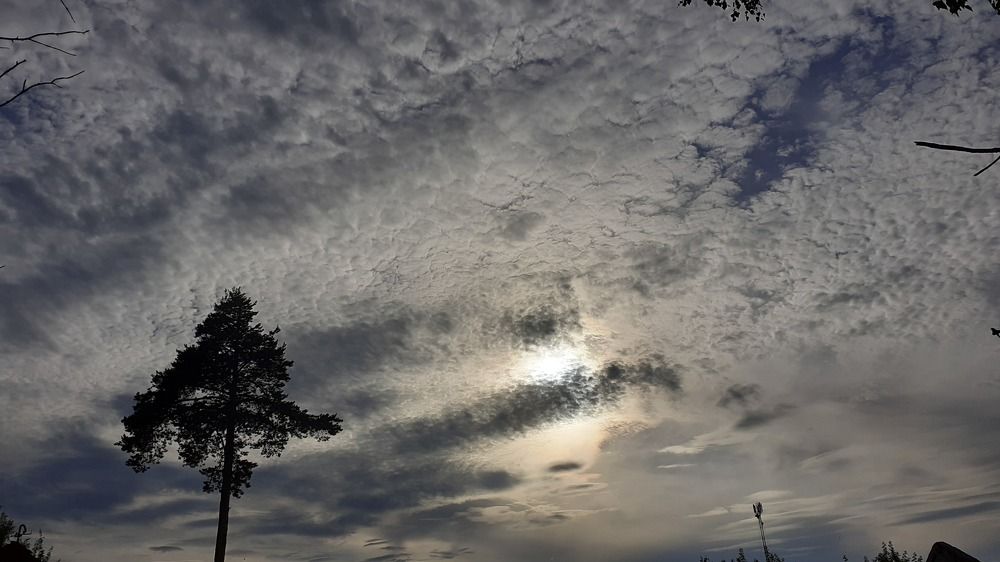 Фотография автора Елена Лещева