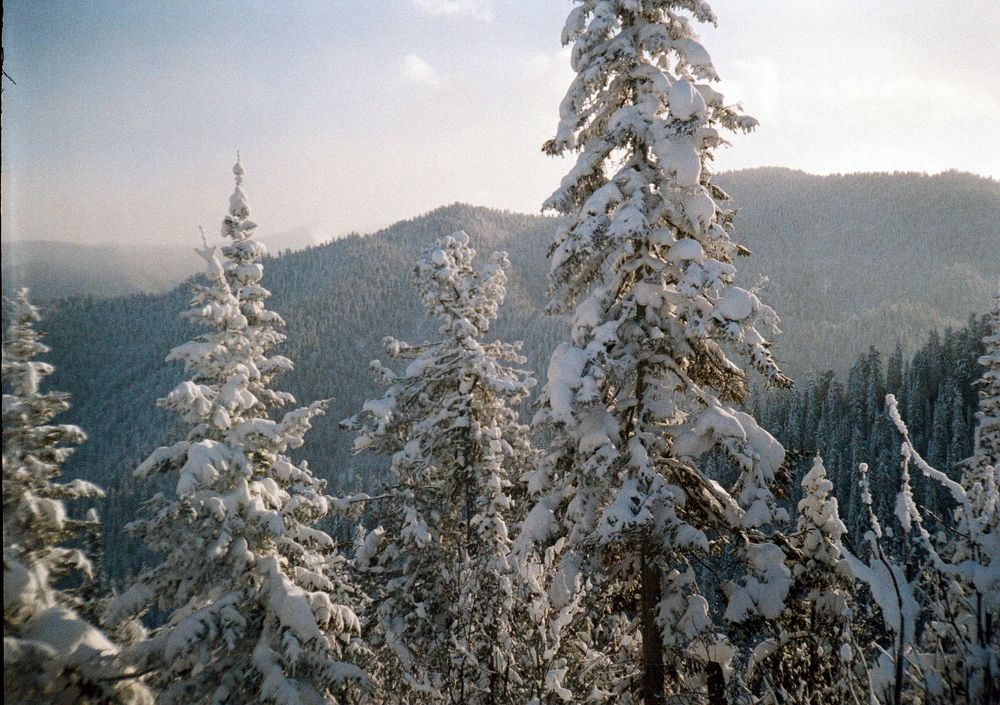 Photograph by Иван Домарацкий