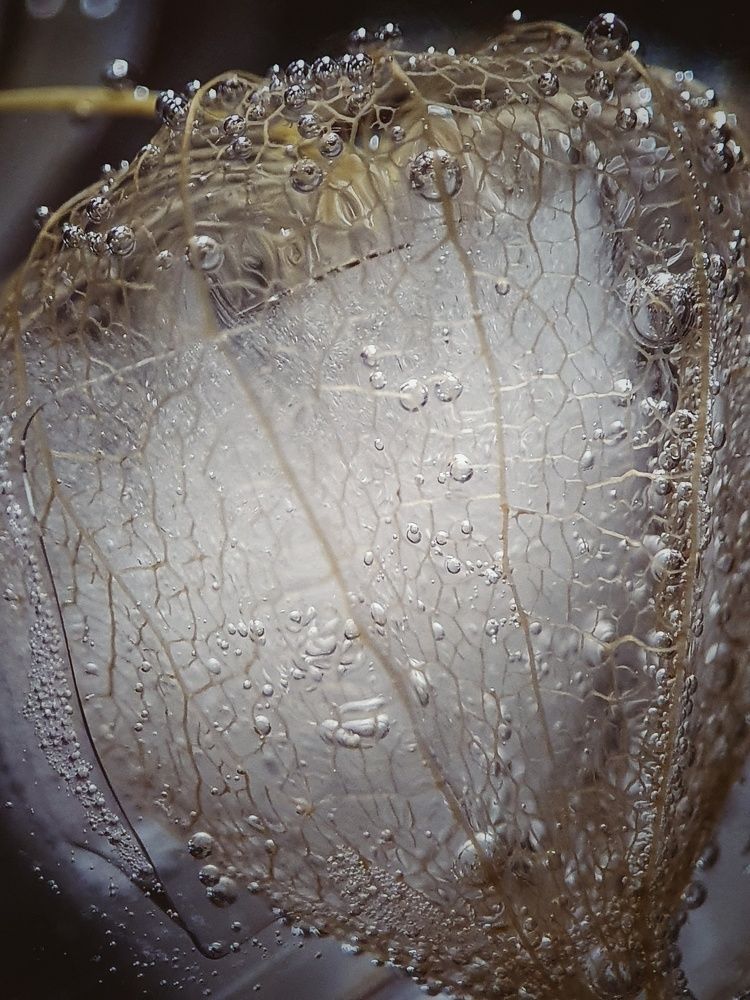 Photograph by Юлия Таран