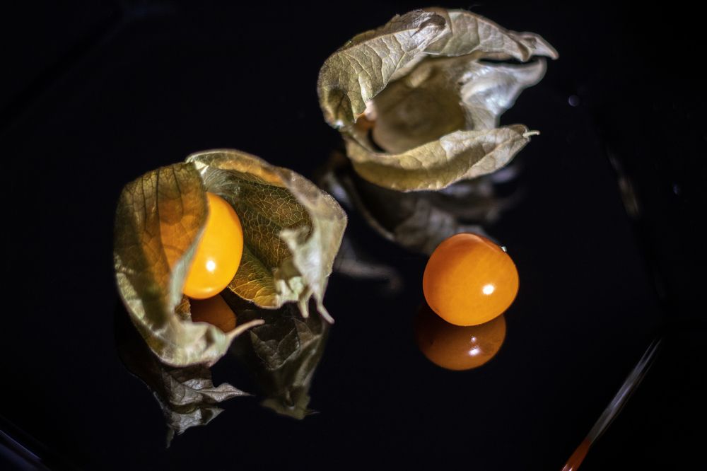 Photograph by Nataliia Voloshyna