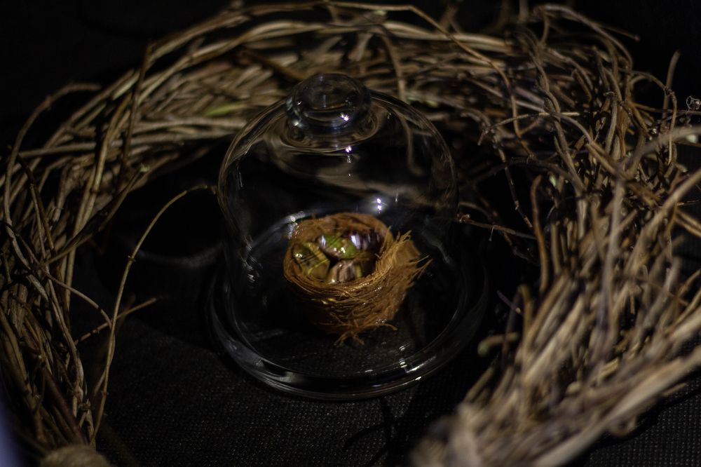 Photograph by Nataliia Voloshyna