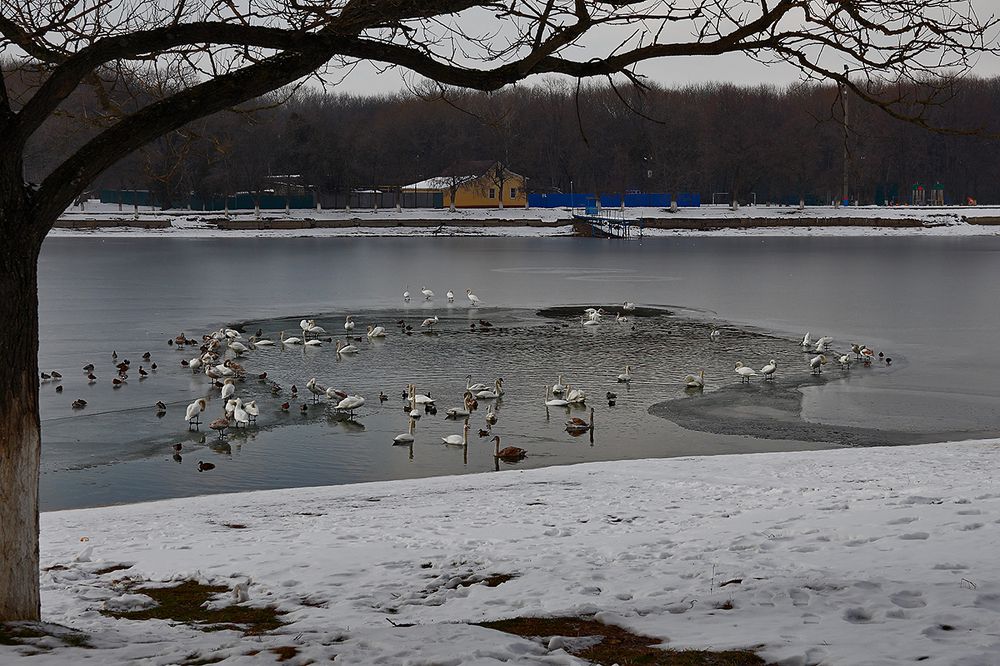 Photograph by Владимир Бурцев