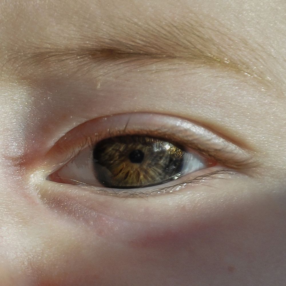 Фотография автора Дарья Долкова