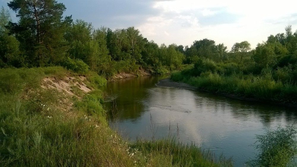 Фотография автора Любовь Панфилова