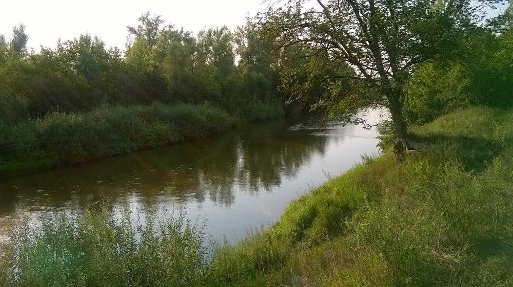 Фотография автора Любовь Панфилова