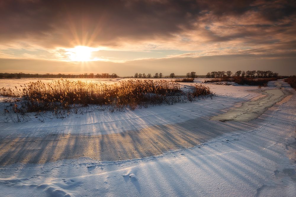 Photograph by Damian Redlicki