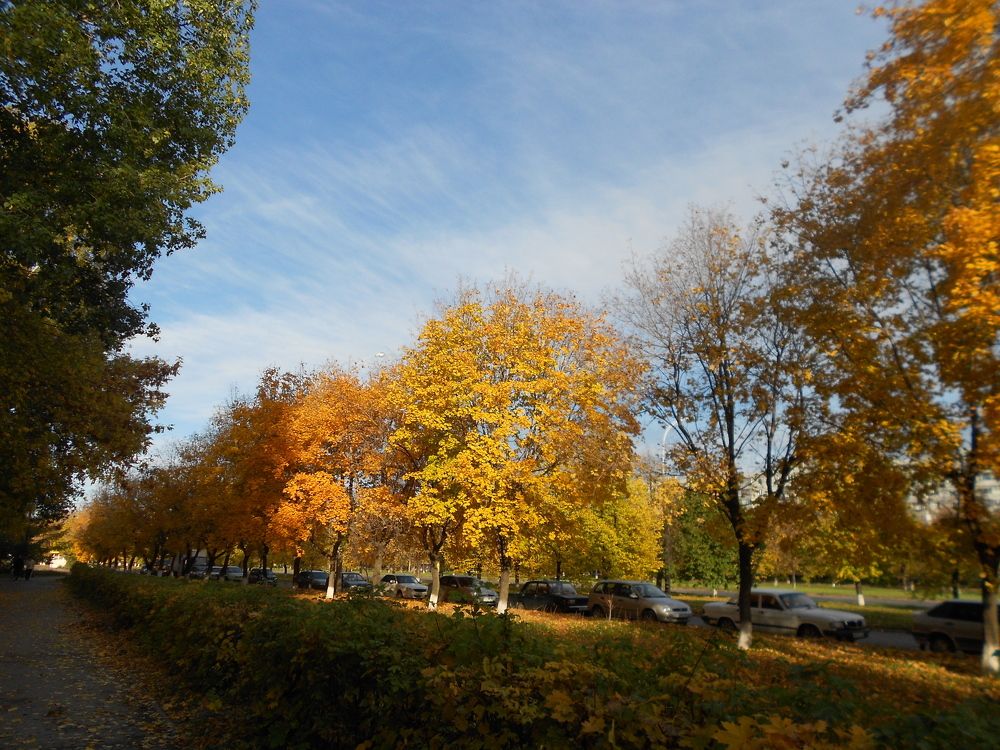 Фотография автора Любовь Панфилова