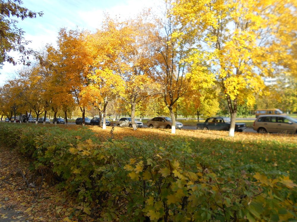 Фотография автора Любовь Панфилова